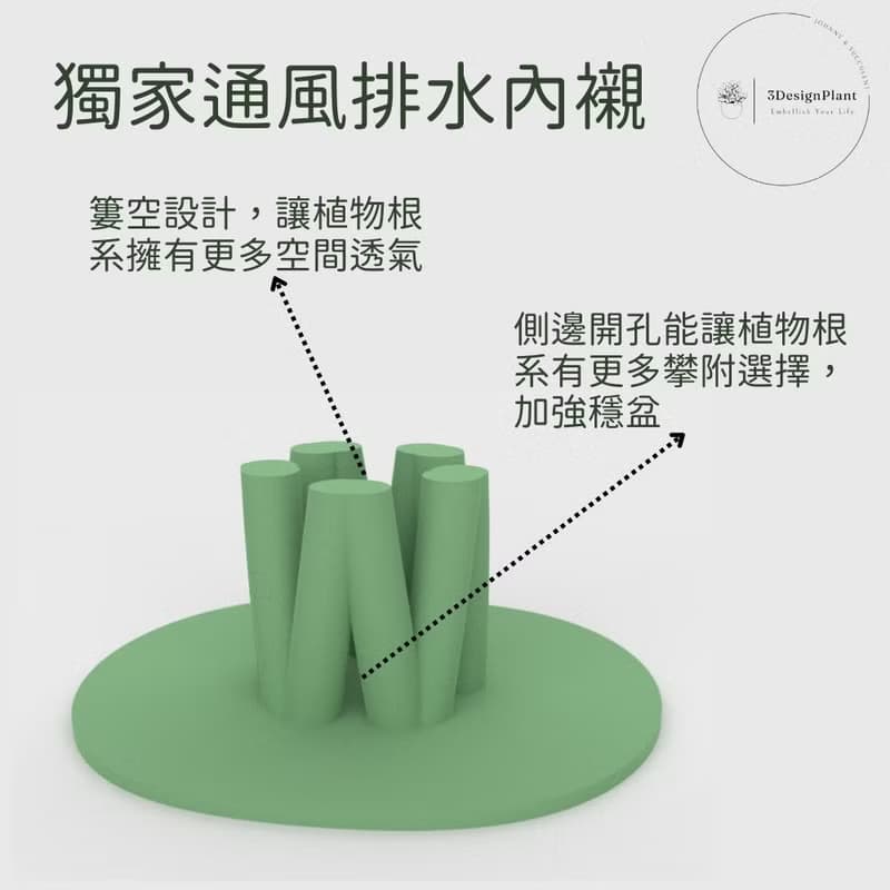 【療癒打印所】【樹冰】多肉盆栽 小型盆栽 多肉植物 婚禮小物