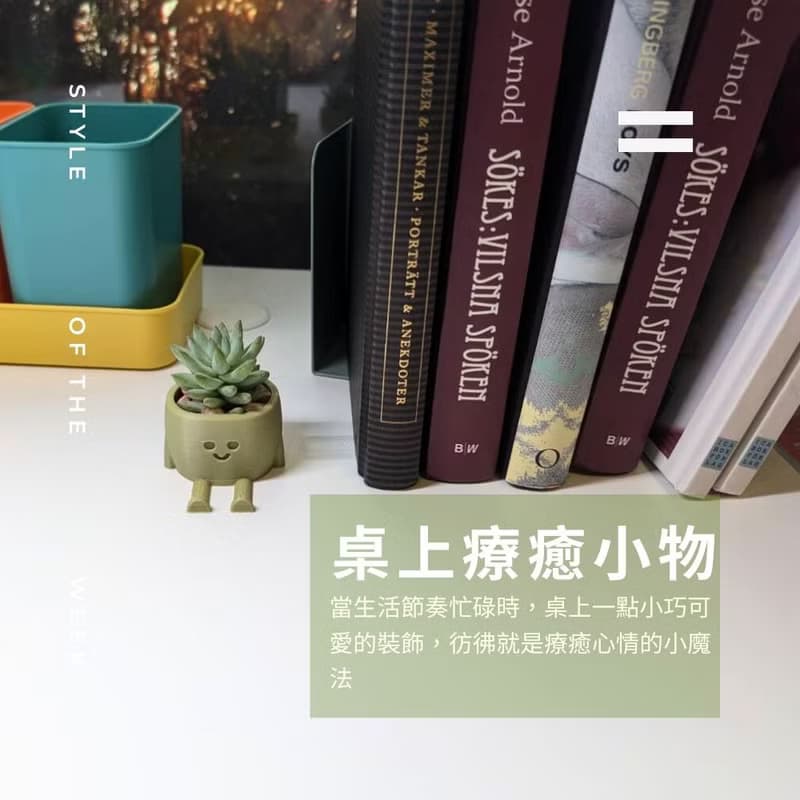 【療癒打印所】【樹冰】多肉盆栽 小型盆栽 多肉植物 婚禮小物