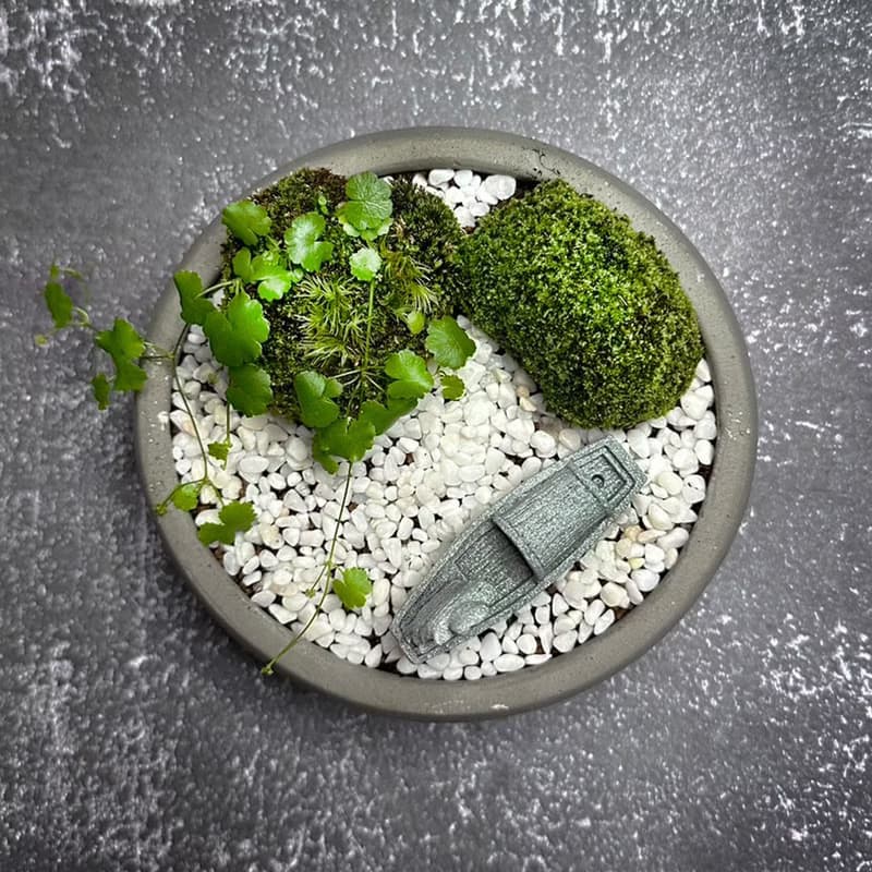 自然苔玉美學 –揚帆 / 侘寂風 / 禪風 / 盆栽 / 擺飾