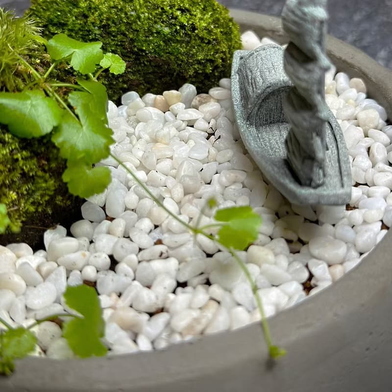自然苔玉美學 –揚帆 / 侘寂風 / 禪風 / 盆栽 / 擺飾