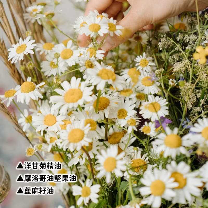 【詩可貝SCOPē】洋甘菊洗髮皂100g-英國固體潔淨