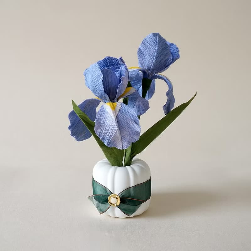 擴香花-鳶尾花Iris
