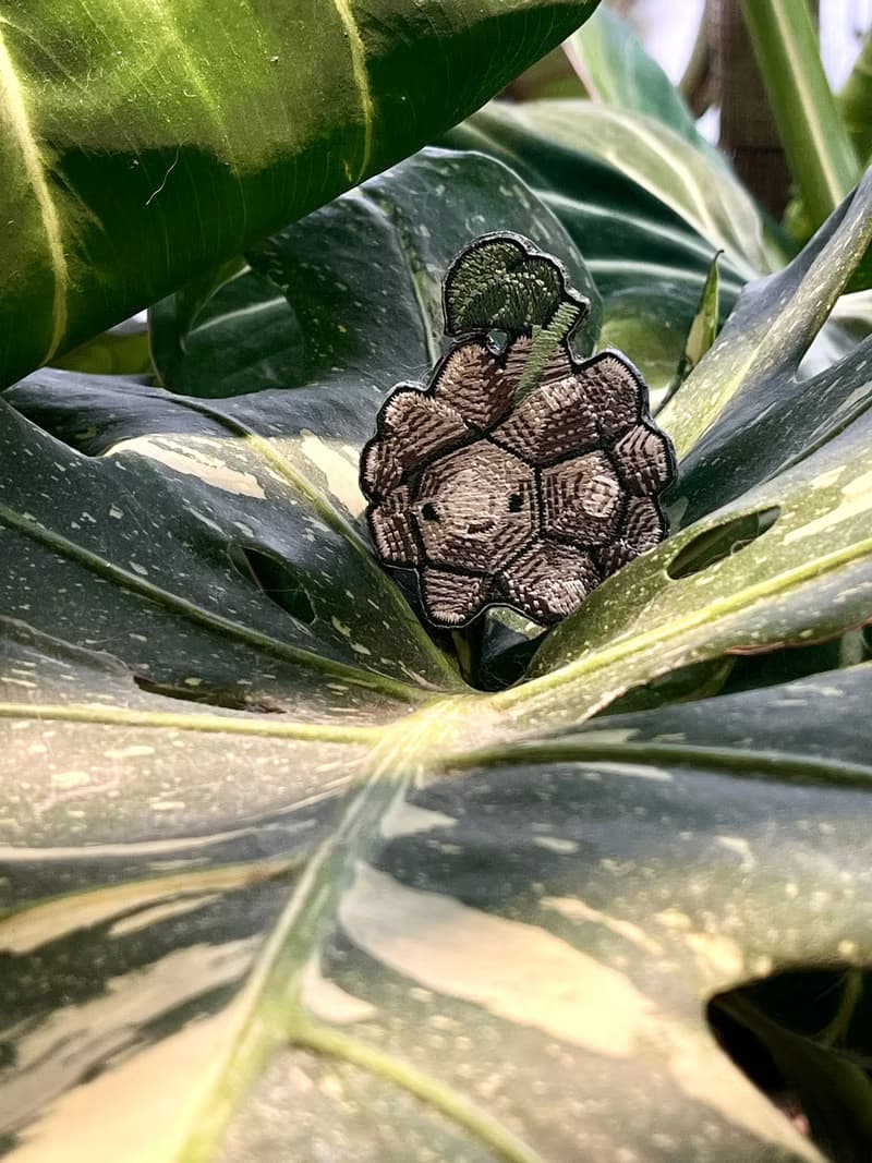 龜甲龍刺繡徽章 塊根植物 植物插畫 讓植物陪伴生活