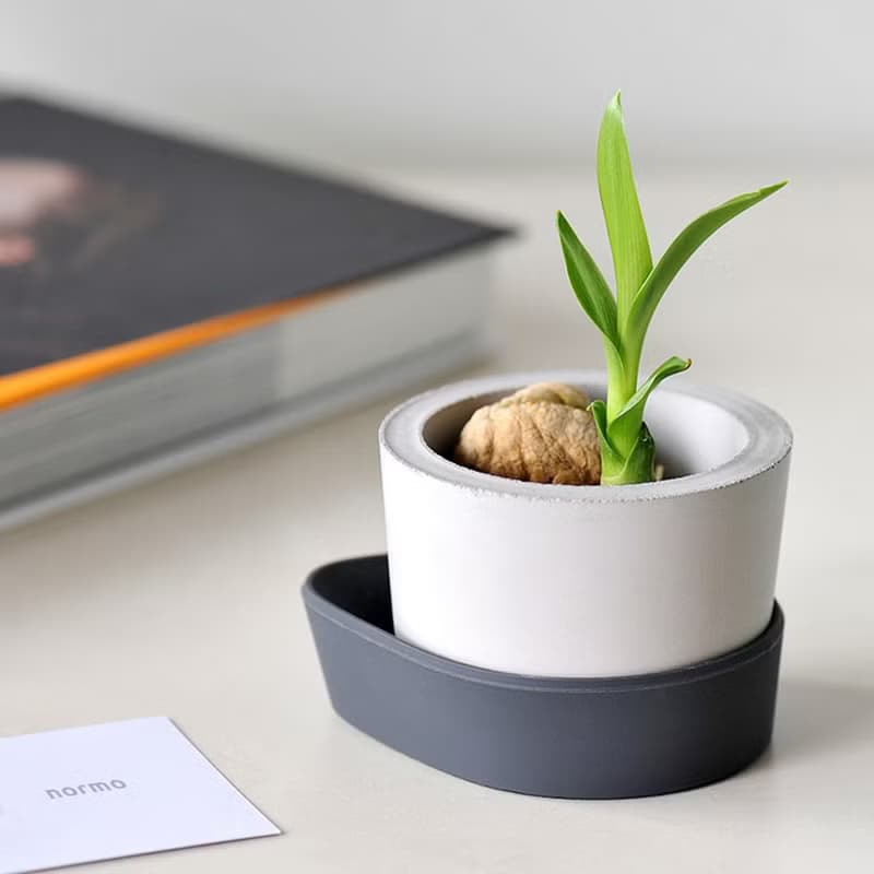 水泥圓小型盆器