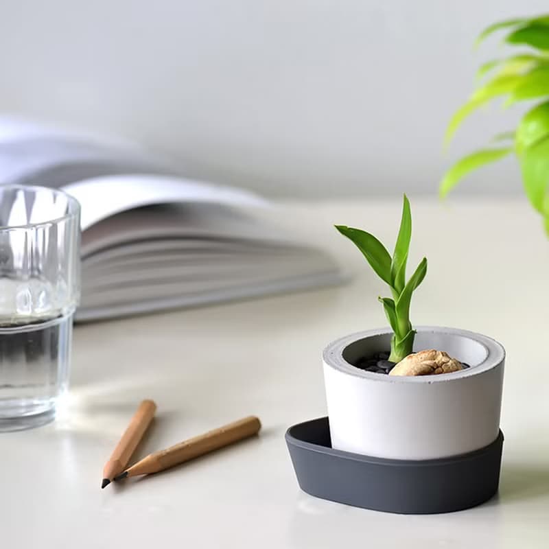 水泥圓小型盆器