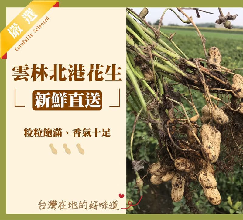 【布田食品】巧克力花生糖 浪漫食光