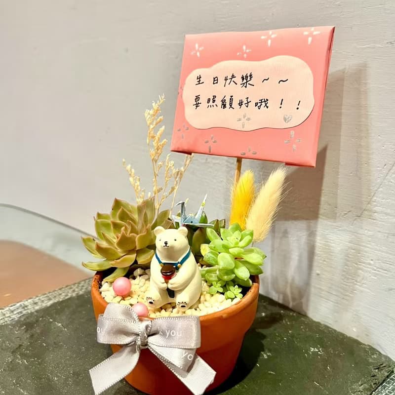 台中多肉組盆 多肉植物 日式枯山水 放鬆小白熊 療癒盆栽 生日禮