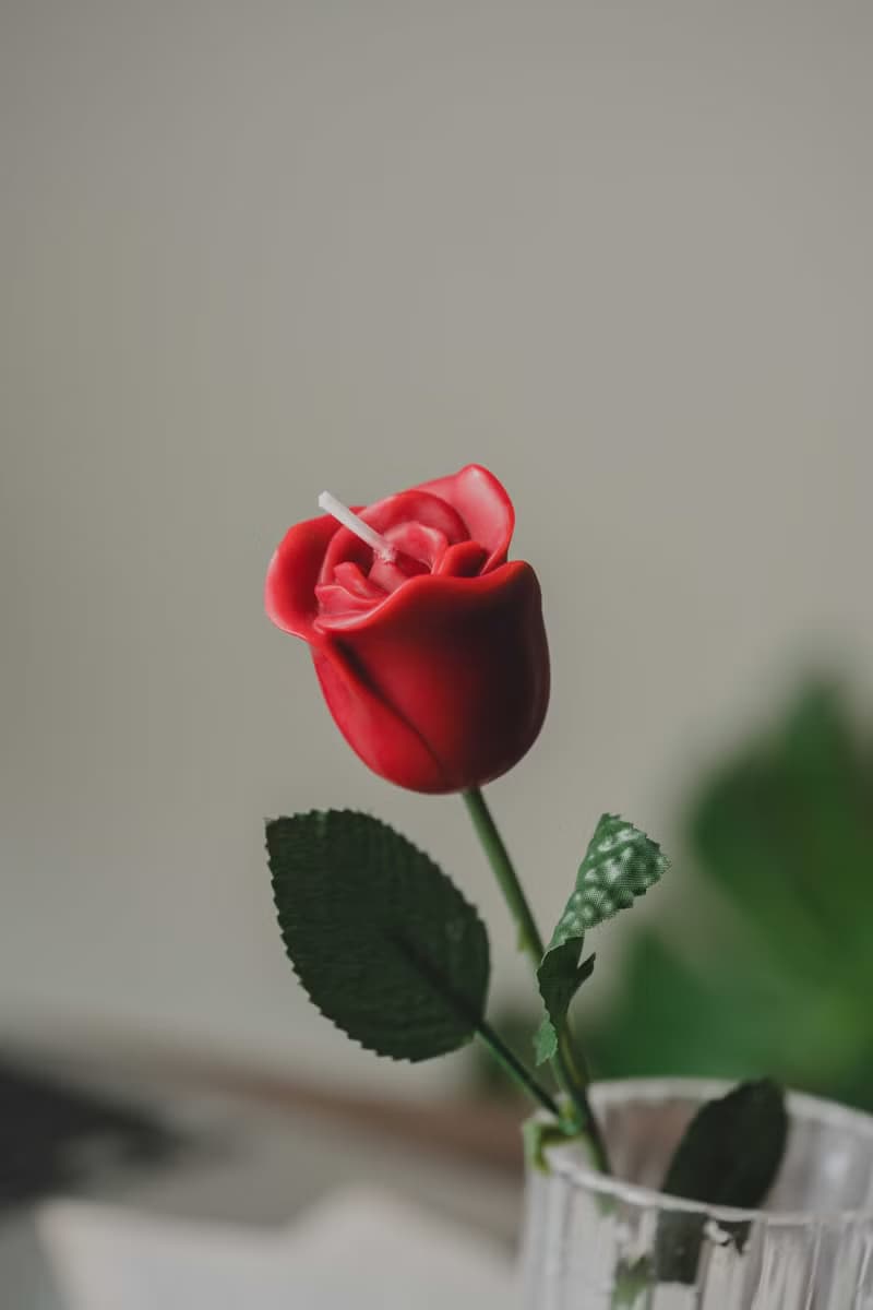 摯愛誓約 • 玫瑰花蠟燭