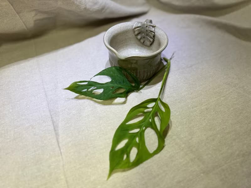 靜葉綠釉茶杯