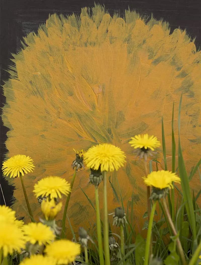 Sofia Lind - 瑞典藝術家設計海報  DANDELION POSTER