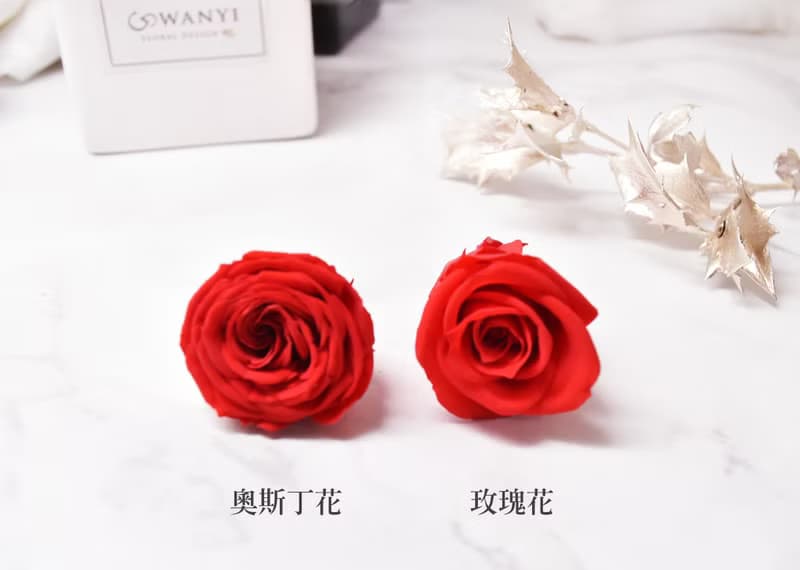 不凋花玫瑰鑰匙圈(紅奧斯丁花)  婚禮小物 生日禮物 送禮 情人節