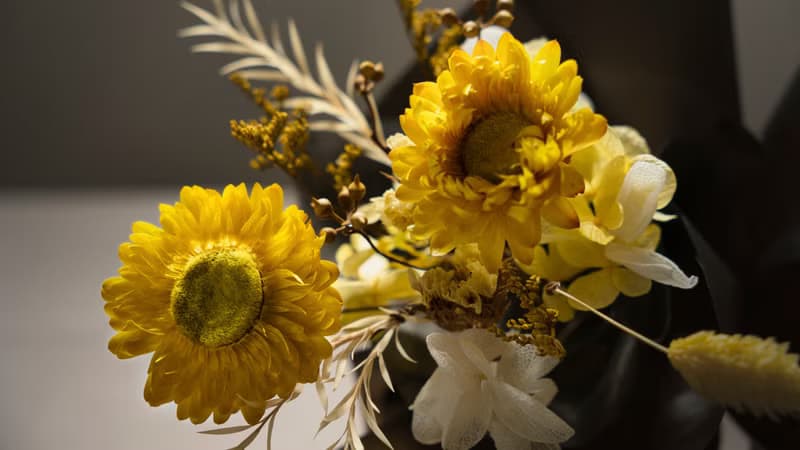 實用花語系列 - 黃麥桿菊花束