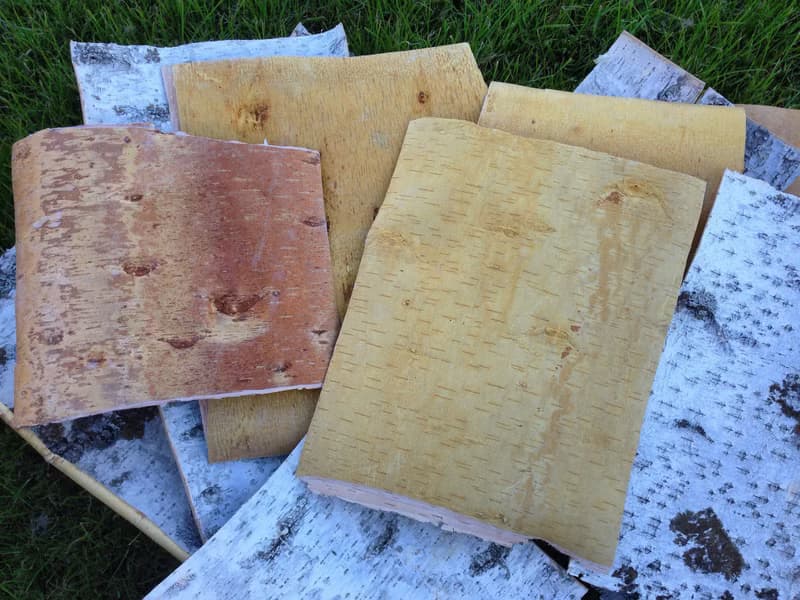 Birch bark sheets