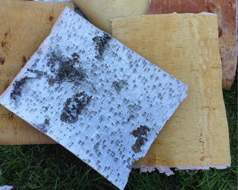 Birch bark sheets