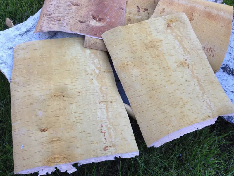 Birch bark sheets
