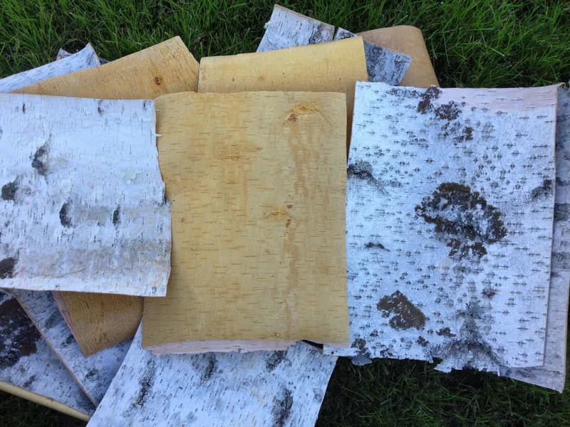 Birch bark sheets