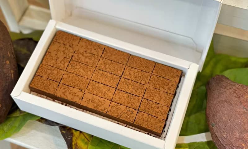 85%香草生巧克力-含餡