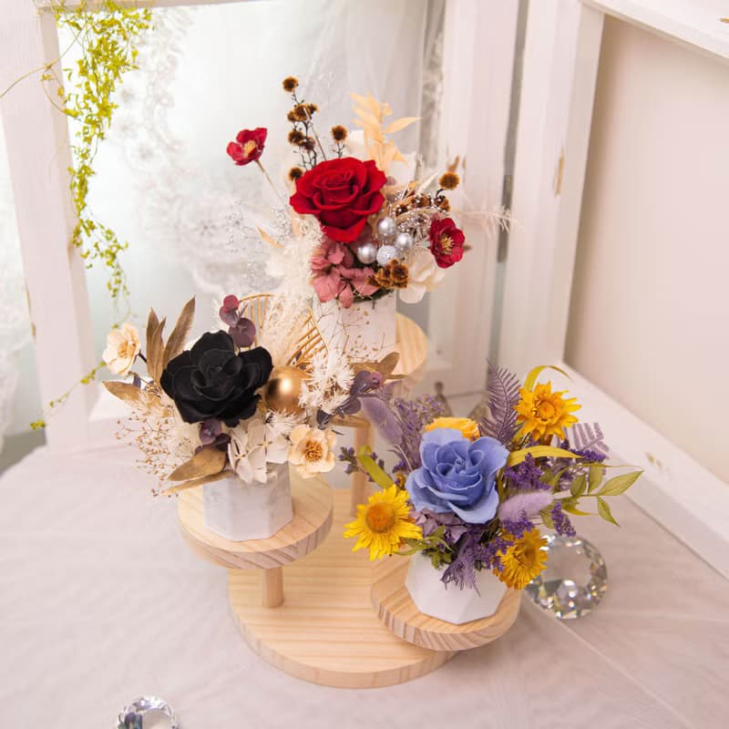 【暖暖】 永生花 乾燥花 擴香小盆花 / 共5款 / 開幕 新居 辦公室