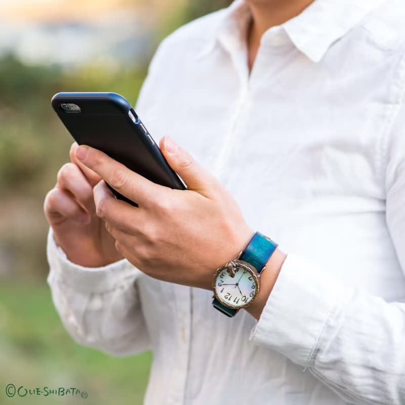 窺視著池面的青蛙 手錶 L 極光