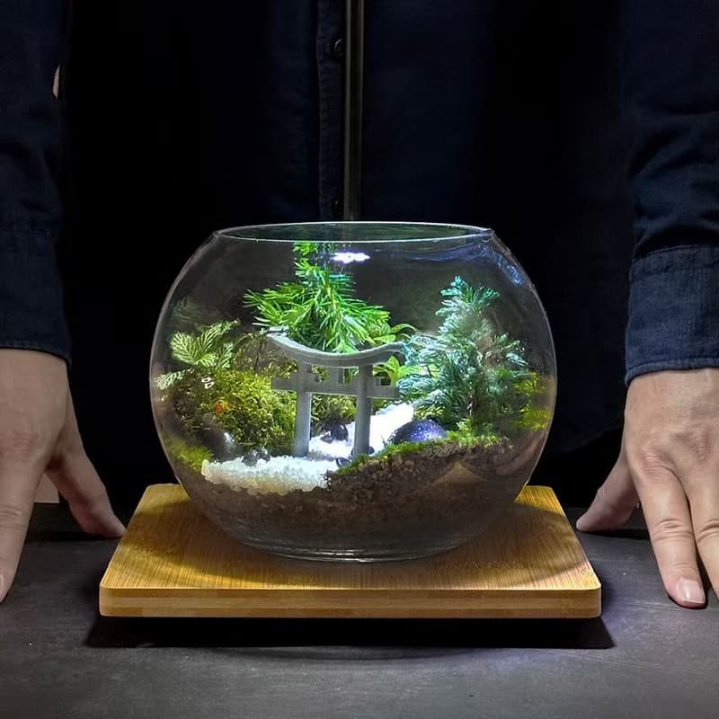 侘寂之徑 / 手工微景觀生態盆