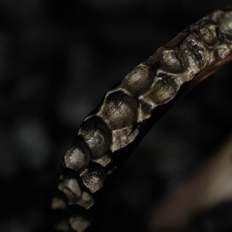 Wood Element Texture ring