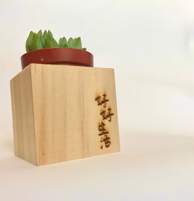 迷你松木磁鐵盆栽 手寫系列 好好生活