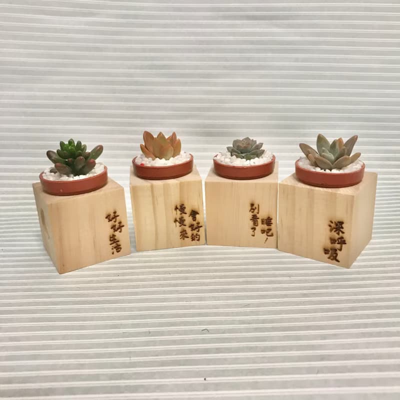 迷你松木磁鐵盆栽 手寫系列 好好生活