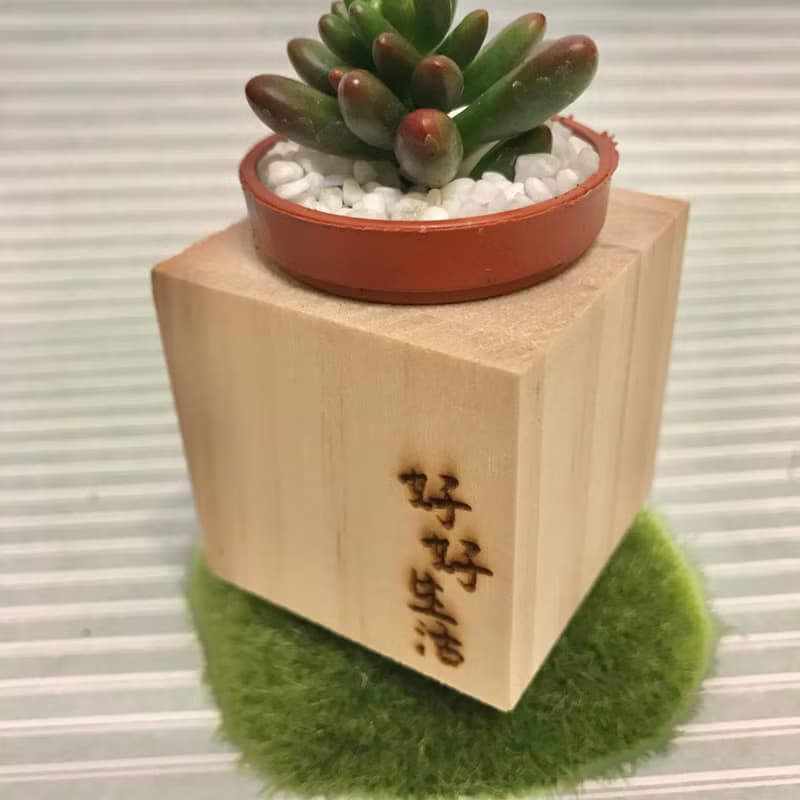 迷你松木磁鐵盆栽 手寫系列 好好生活