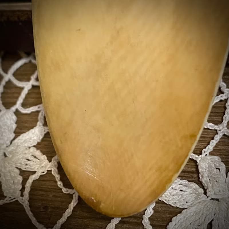 法國Art Nouveau 純銀柄 大型雕花分食餐具 原盒裝組