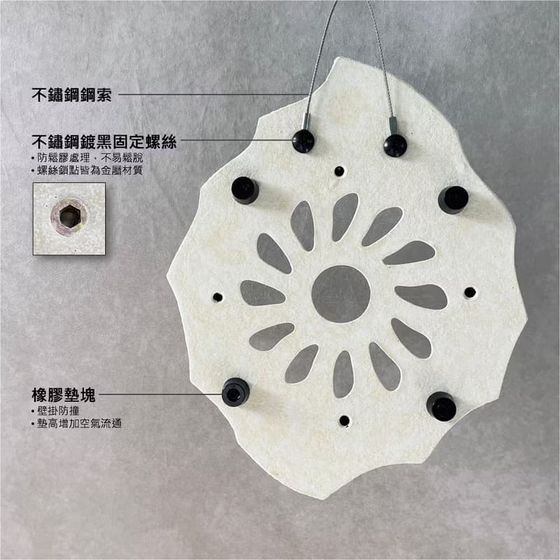 星谷Light Forest 菊石M 米白 鹿角蕨水泥板 交換禮物 細箘 玉女