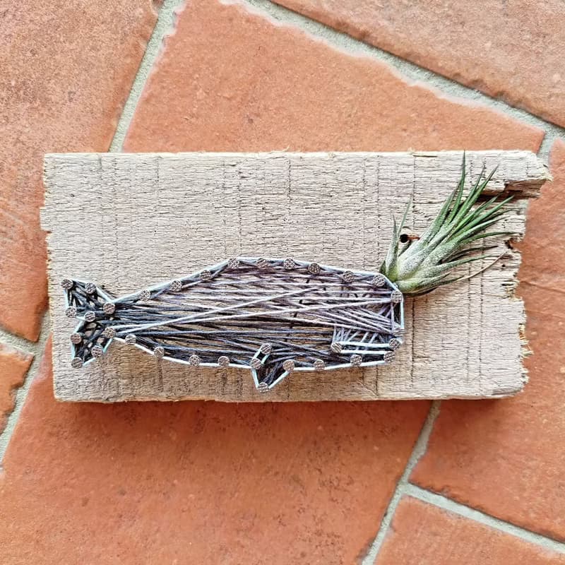 噴氣鯨魚-空鳳釘線畫DIY材料包