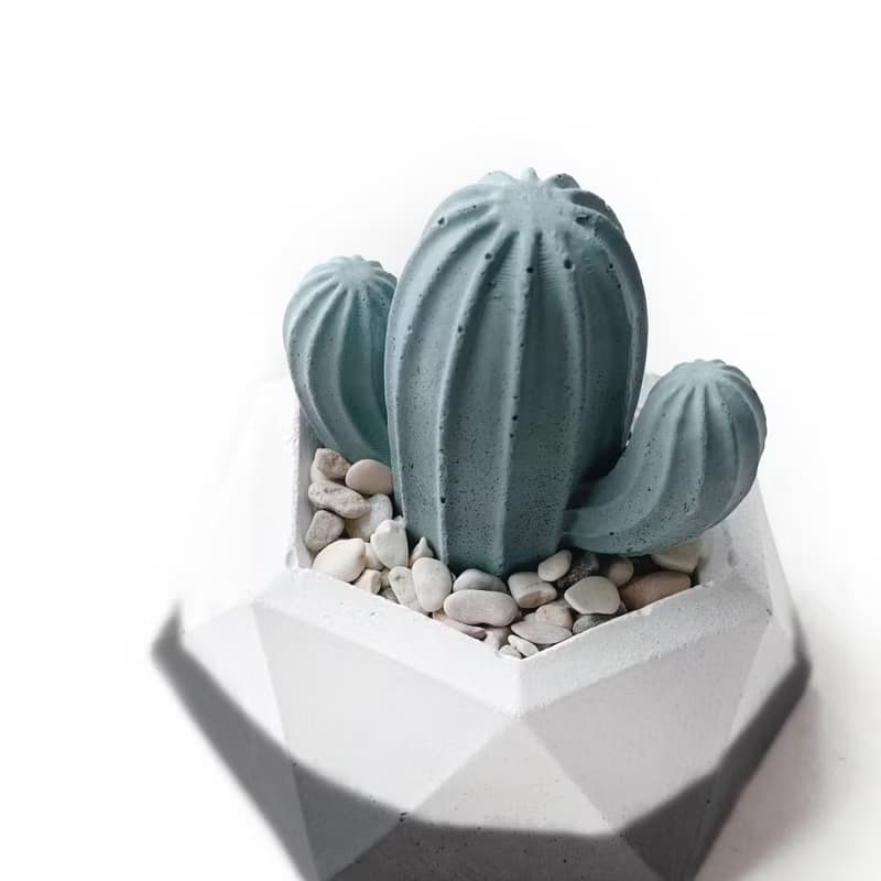 (預購) 墨黑系列 | 仙人掌造型水泥擴香石組合 辦公室懶人植栽
