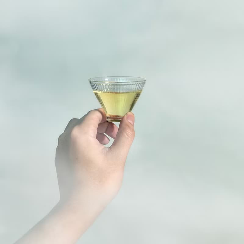 羽曦堂【沉林芳浴】台灣杉林溪高山清香烏龍茶