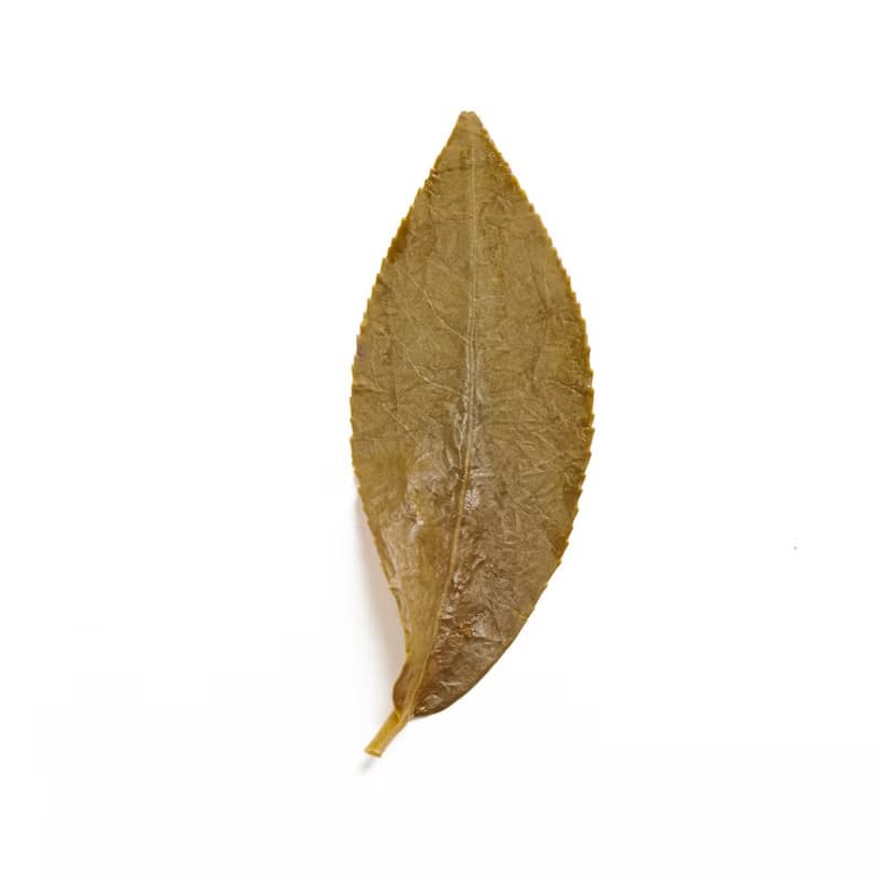 羽曦堂【沉林芳浴】台灣杉林溪高山清香烏龍茶