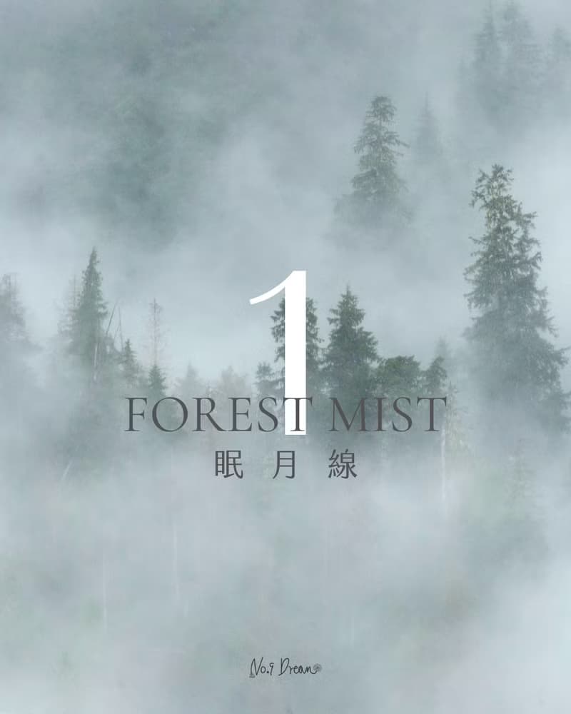 手工天然香氛大豆蠟蠋 經典香杯禮盒款 #1 眠月線 Forest Mist