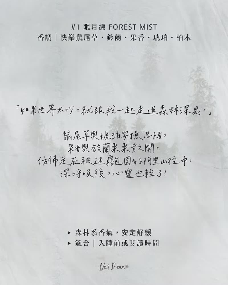手工天然香氛大豆蠟蠋 經典香杯禮盒款 #1 眠月線 Forest Mist