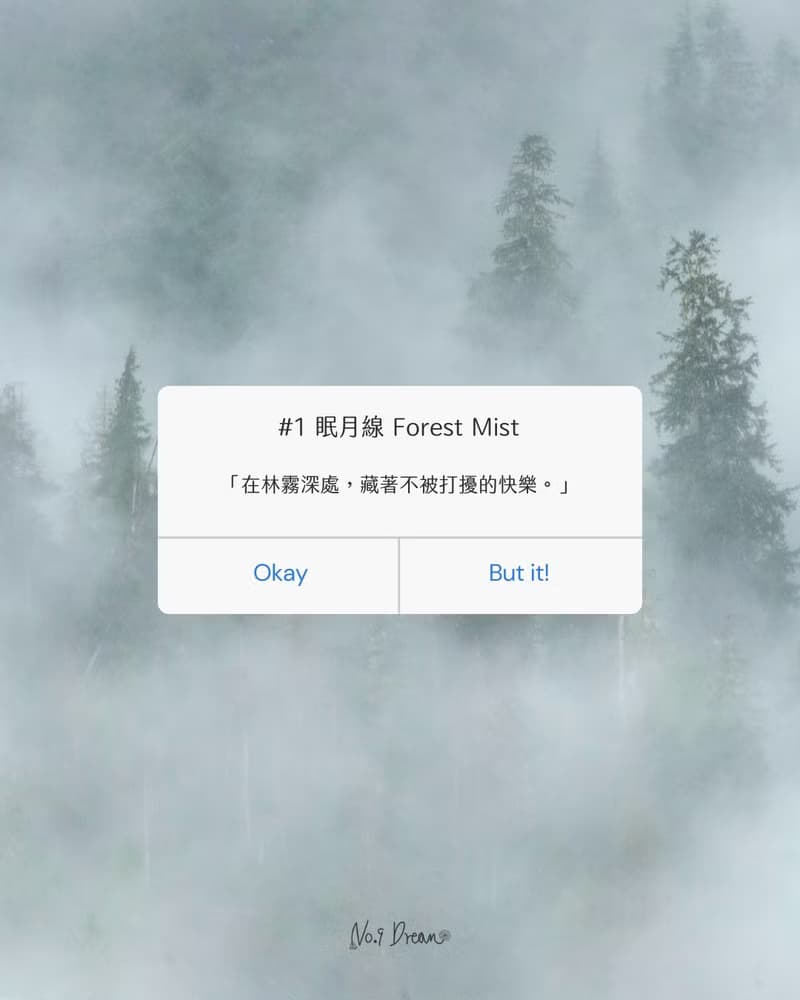 手工天然香氛大豆蠟蠋 經典香杯禮盒款 #1 眠月線 Forest Mist