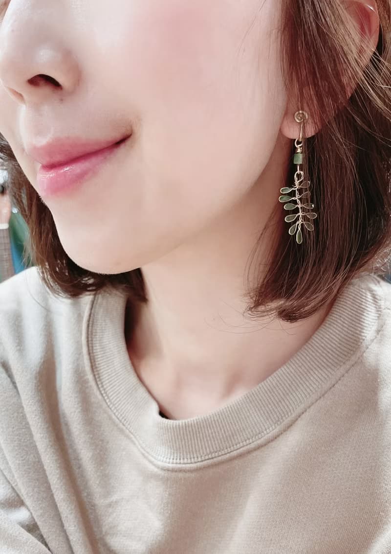小蕨類款