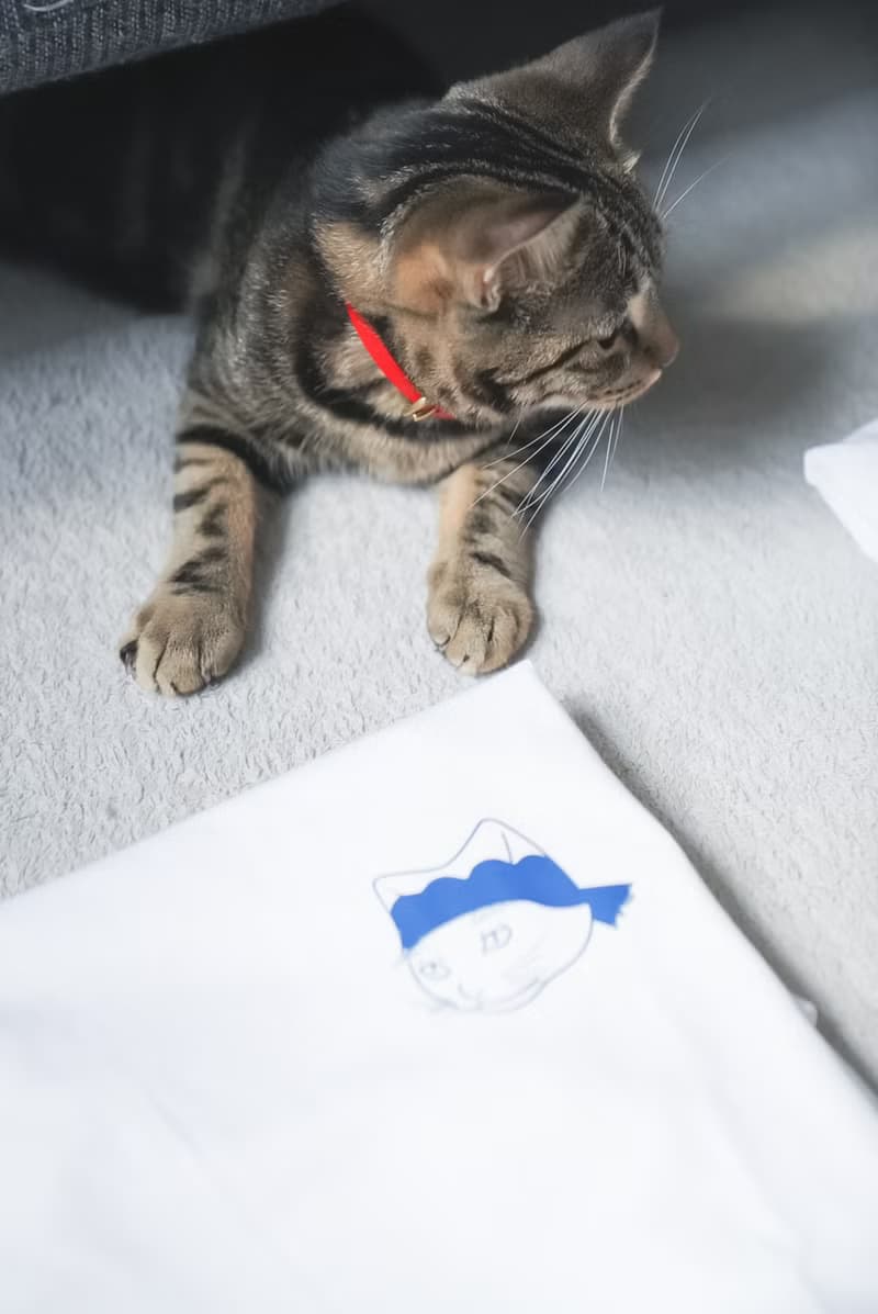 祭典貓 未來還未來 - 白 朝氣藍 Tee T-Shirt  【 情人節 生日 】