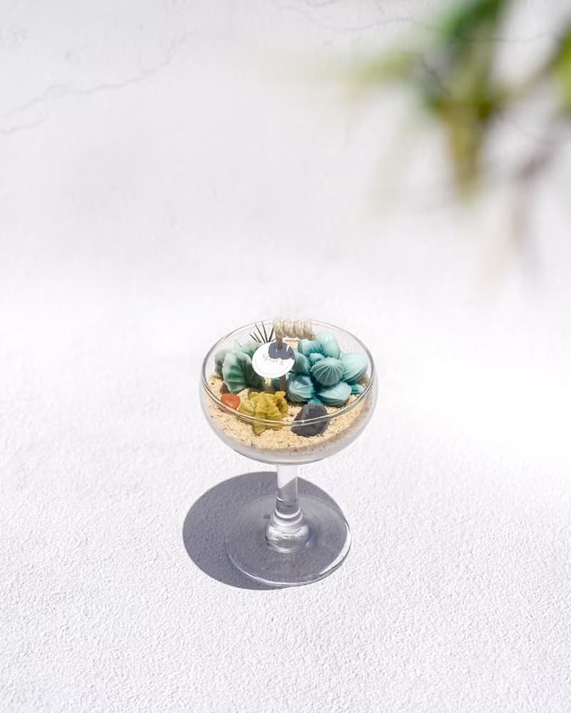 多肉植物蠟燭杯 | 手工香氛仙人掌蠟燭