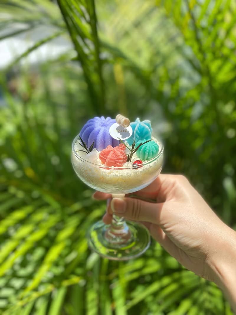 多肉植物蠟燭杯 | 手工香氛仙人掌蠟燭