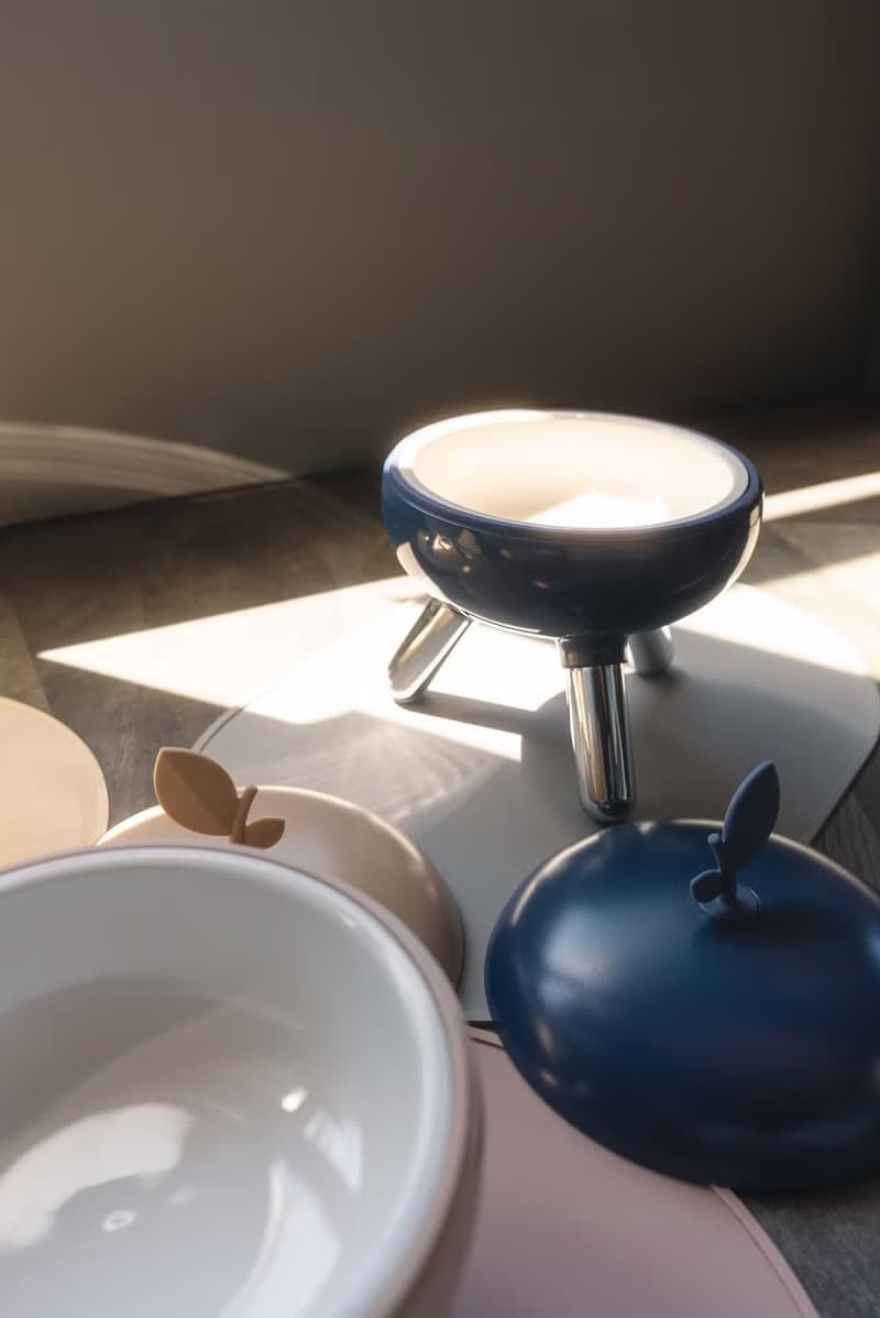 毛寶寶們的西餐般享受。蘋果高腳水碗食物碗 陶瓷碗含蓋