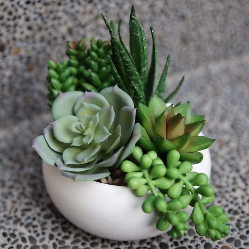 【青翠綠州】綠色多肉植物組合(中) | 佈置 |人造植物 | 陶瓷盆栽