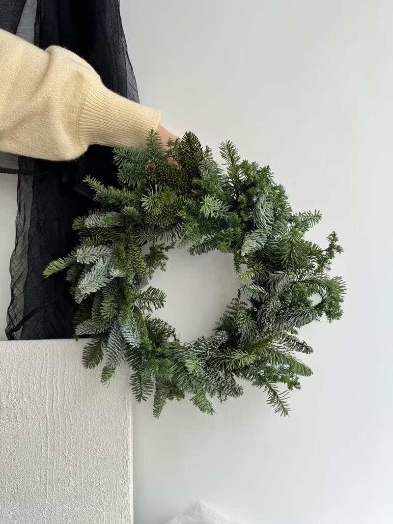 伊登花室 諾貝松 雪松乾燥花圈