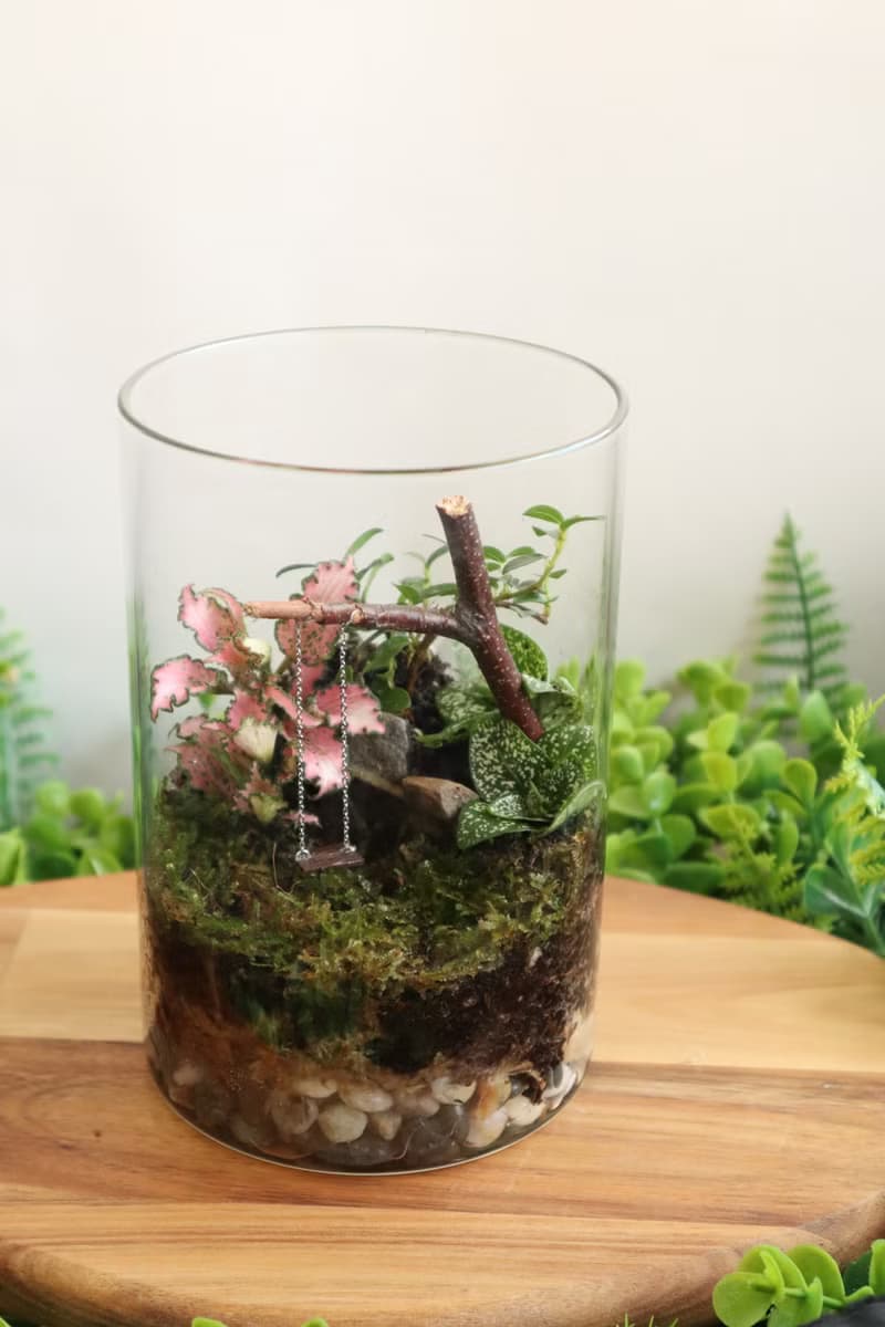 【微景觀】童年之秋 - 苔蘚組盆/公園/交換禮物/生日禮物