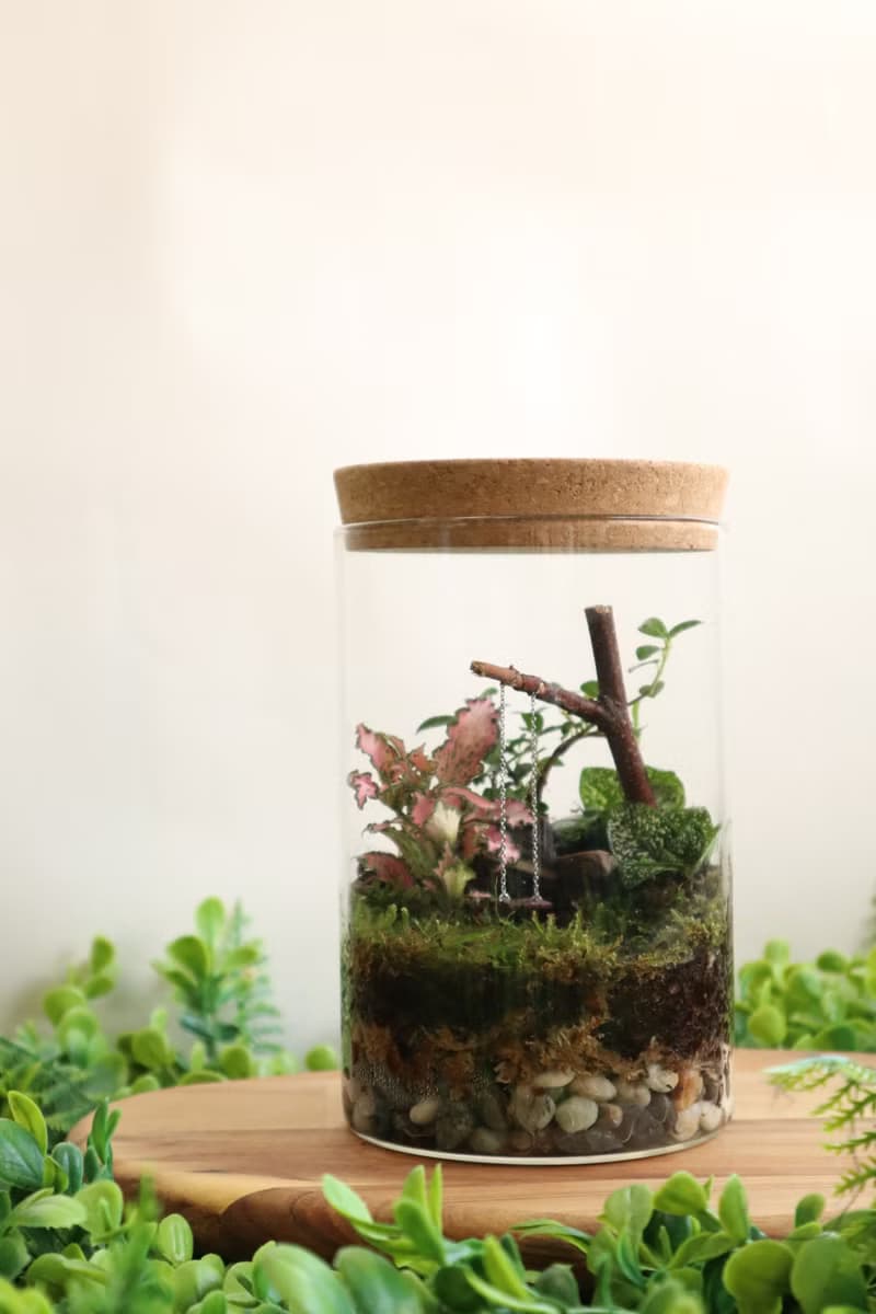【微景觀】童年之秋 - 苔蘚組盆/公園/交換禮物/生日禮物