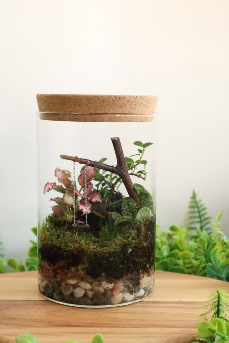 【微景觀】童年之秋 - 苔蘚組盆/公園/交換禮物/生日禮物