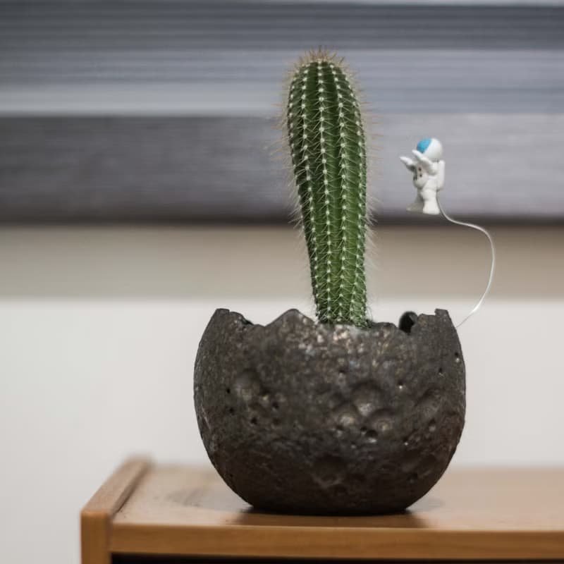 月球盆器&太空人陶偶