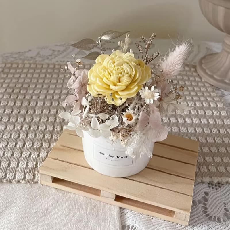 【永生乾燥盆花】永生花 開幕盆花 生日花禮 擴香小盆花 桌型小物