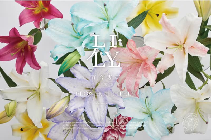 【預購商品】重瓣百合系列  A.花束款